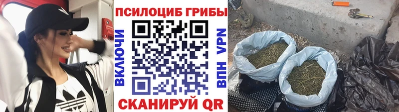 Галлюциногенные грибы мухоморы  Глазов 